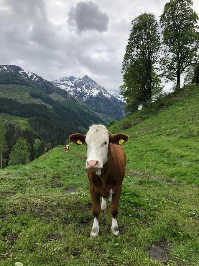 Zauneralm Aich  Exterior photo